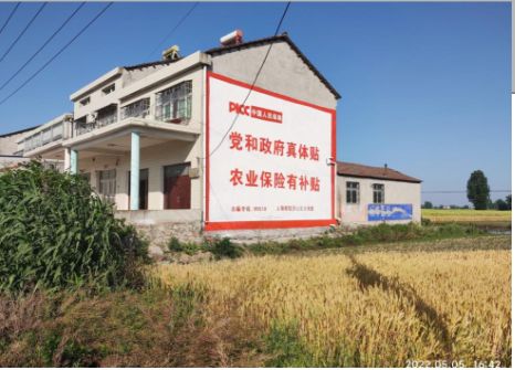 利辛墙体广告