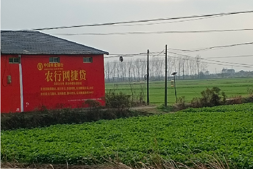 利辛如何防止墙体广告褪色呢？