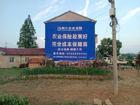 利辛墙体广告为何受追捧？