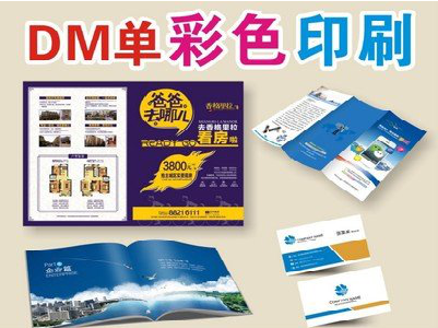 利辛单页印刷，色彩搭配简单。